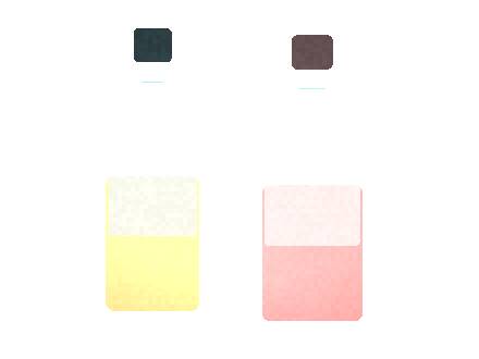 Air Bar AirBar 2: Flavor Portfolio for Distributors