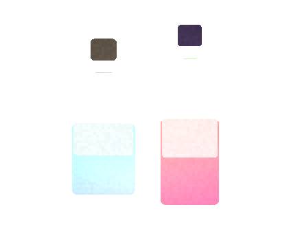 Air Bar Zen 2: Sample Order Workflow for Distributors